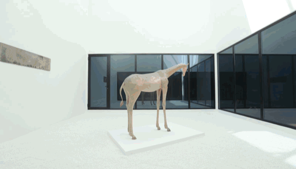 640 (1).gif 640 (1).gif